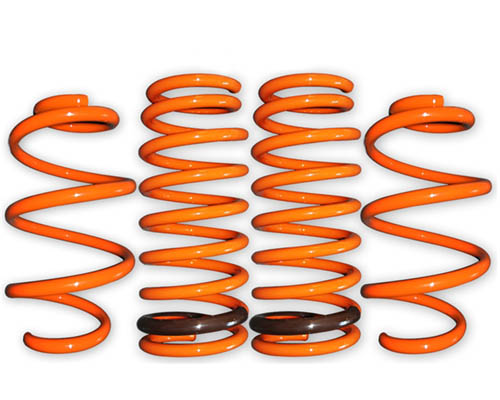 ARK GT-F Lowering Springs Honda Fit 07-12