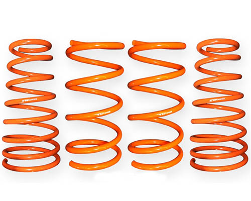 ARK GT-F Lowering Springs Hyundai Tiburon 03-08