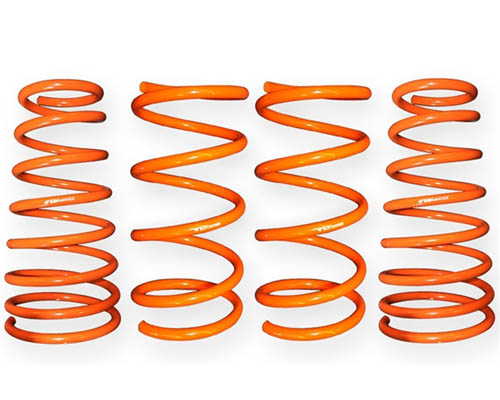 ARK GT-F Lowering Springs Scion tC 05-10