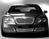 Asanti Catalina 3pc Mesh Bumper Grille Bentley Continental GT 04-08