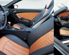 Carlsson Door Panels Mercedes SLK-Class R171 05-08