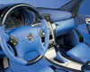 Carlsson Door panels Mercedes C-Class W203 01-07