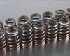 Cosworth High RPM Valve Spring Set Mitsubishi EVO 4G63 2.0L 01-07