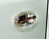 ChargeSpeed Crystal Side Lens Subaru WRX GDA 02-03