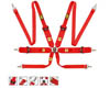 OMP 6 Point Hans Racing Harness
