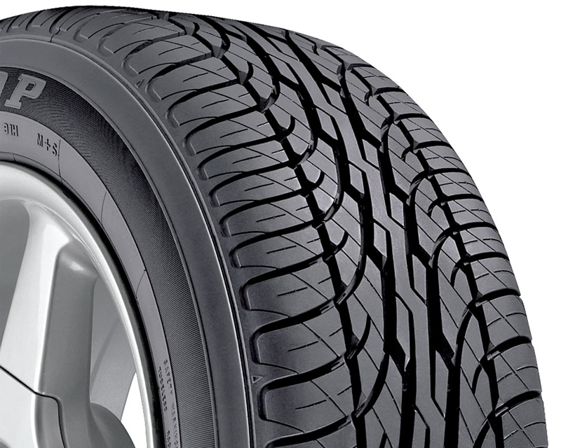 Dunlop Signature BSW Tires 205/60/16 91H BSW