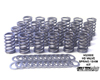 JWT Spring and Shim Kit Nissan 350Z