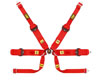 OMP 6 Point Formula Hans SL Racing Harness