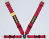 4 Point Harness