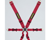 6 Point Harness
