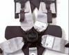 Team Tech 6 PT Ram Pac Bolt In Harness