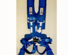 Team Tech 6 PT Ram Pac Latch-Link Snap-In Harness Blue